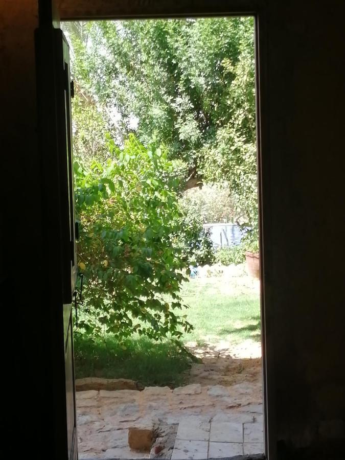 Studio In Byoum By Qaroun Lake In Fayoum Qaryat at Ta'mir as Siyahiyah Eksteriør bilde